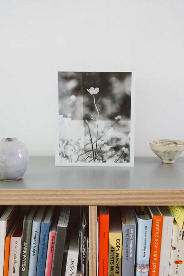 Flowers #1
