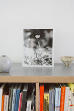 Load image into Gallery viewer, Flowers #1