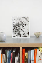 Load image into Gallery viewer, Flowers #2