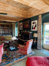 Load image into Gallery viewer, Mandolin Reimagined II