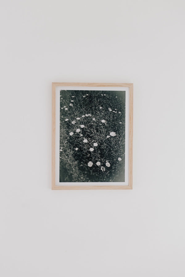 Beach Flowers (Framed Artist Proof)