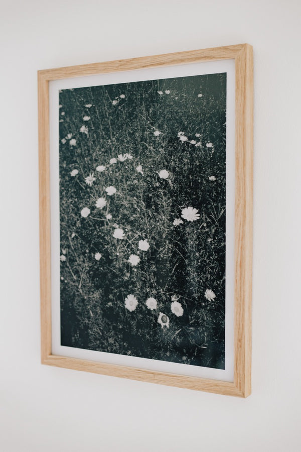 Beach Flowers (Framed Artist Proof)