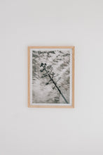 Load image into Gallery viewer, Sky Branch (Framed Artist Proof)