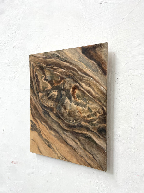 Mimesis (Framed)