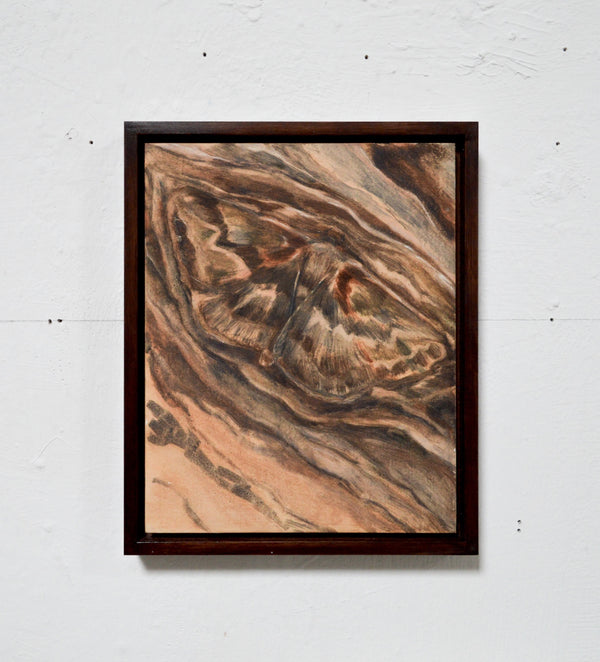 Mimesis (Framed)