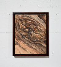 Load image into Gallery viewer, Mimesis (Framed)