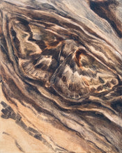 Load image into Gallery viewer, Mimesis (Framed)