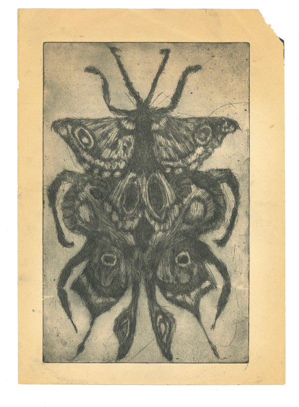 Moth