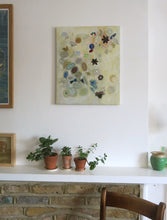 Load image into Gallery viewer, Natural Histories