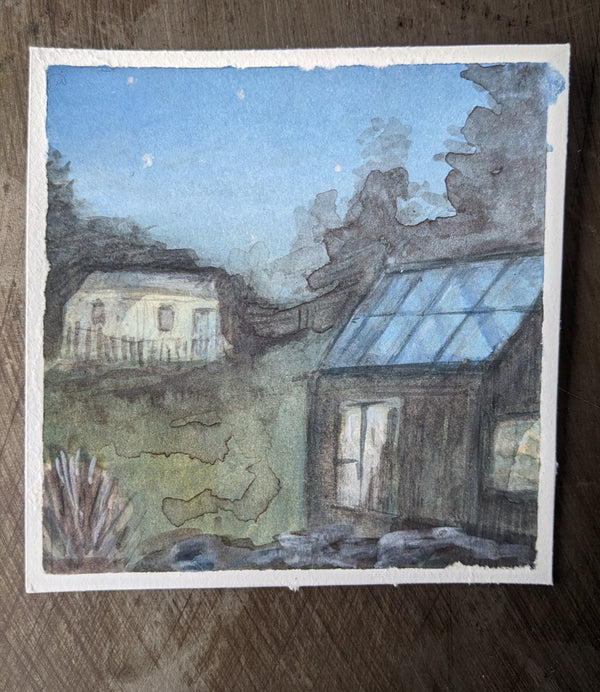 Night in the garden by the sea