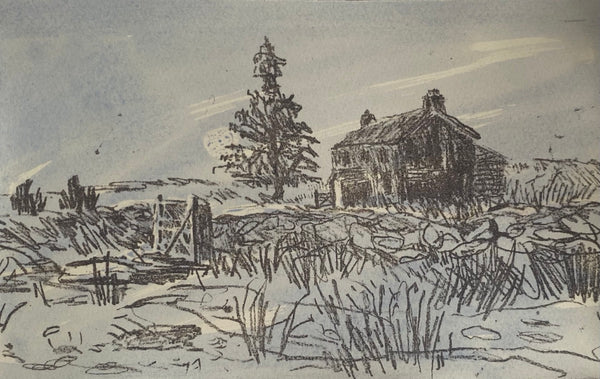 Nuns Cross Farm, Dartmoor