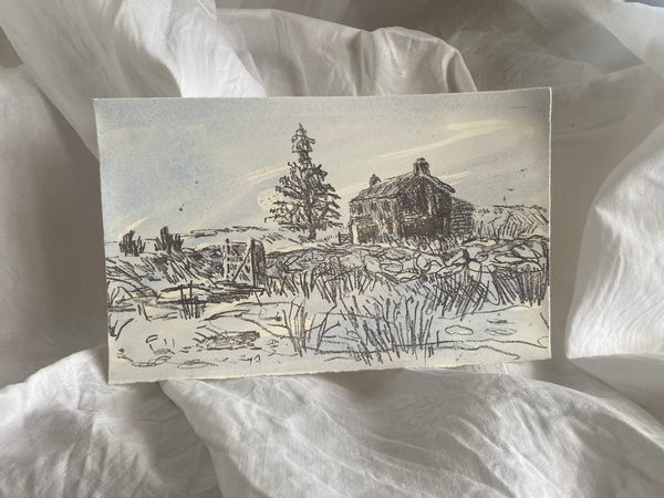 Nuns Cross Farm, Dartmoor