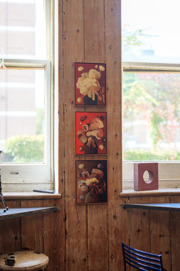 Anemone Study Twenty-nine (Framed)