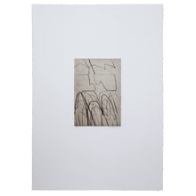 Load image into Gallery viewer, Paseo