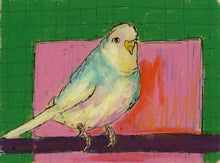Load image into Gallery viewer, At the Pet Shop