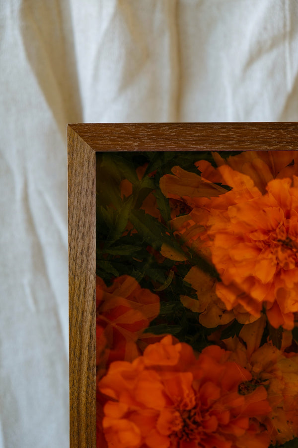 Flowers #76 (Unframed)
