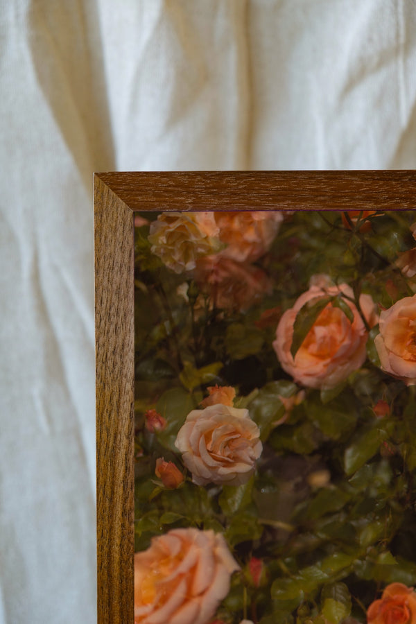 Flowers #38 (Unframed)