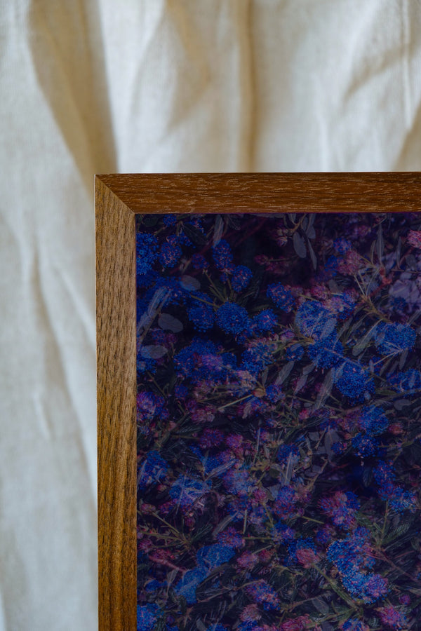 Blossom #108 (Unframed)