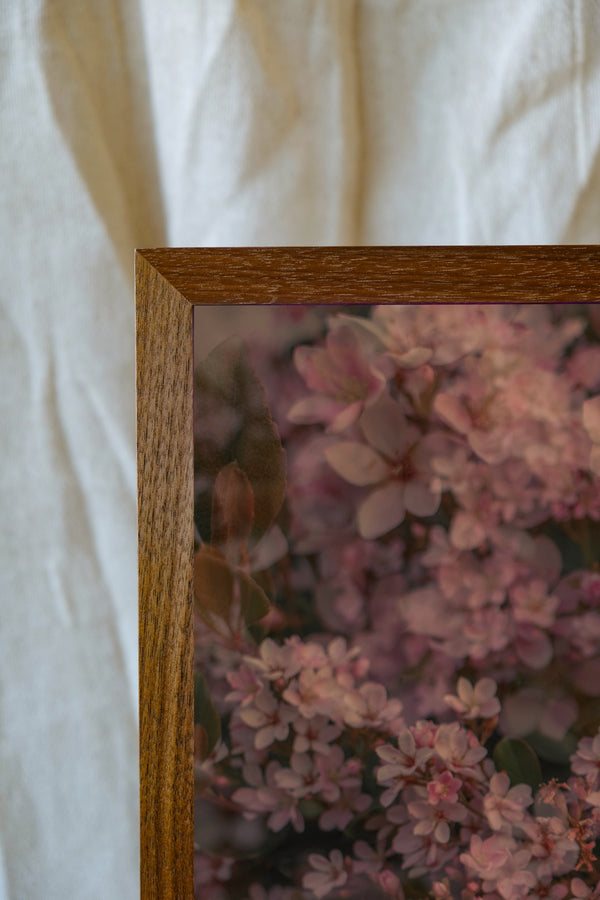 Blossom #102 (Unframed)