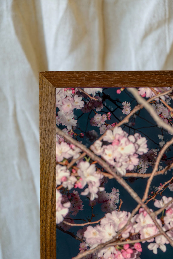 Blossom #72 (Unframed)
