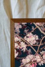 Load image into Gallery viewer, Blossom #72 (Unframed)