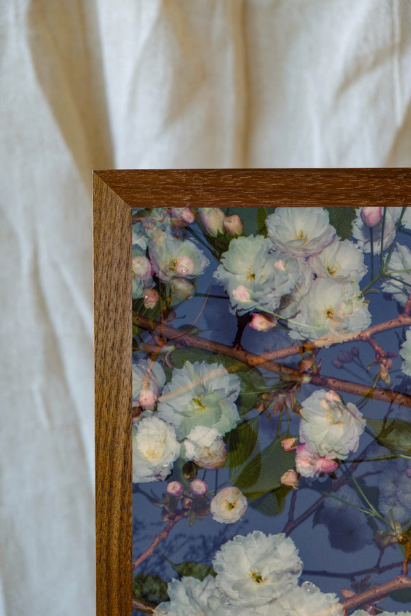 Blossom #68 (Unframed)