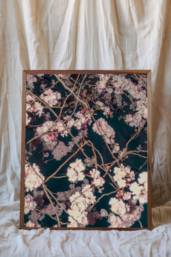 Blossom #72 (Unframed)