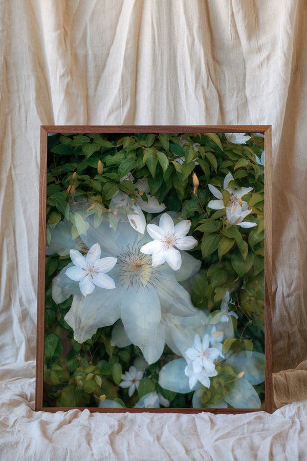 Flowers #87 (Unframed)