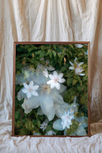 Load image into Gallery viewer, Flowers #87 (Unframed)