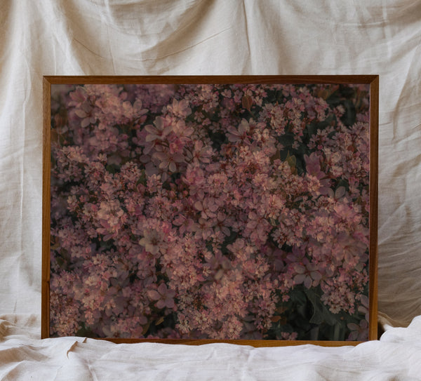 Blossom #102 (Unframed)