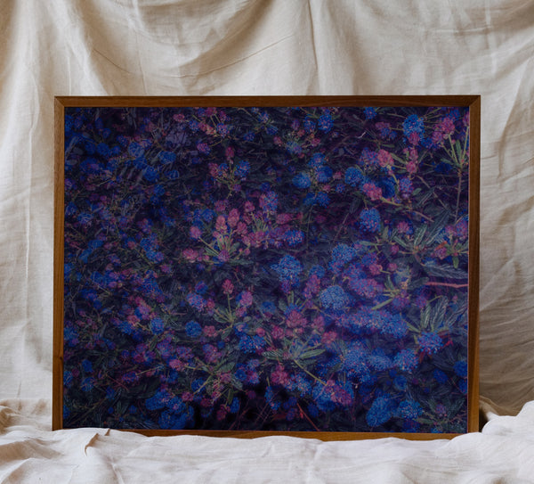 Blossom #108 (Unframed)