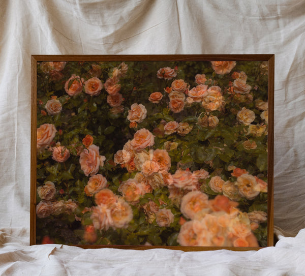 Flowers #38 (Unframed)