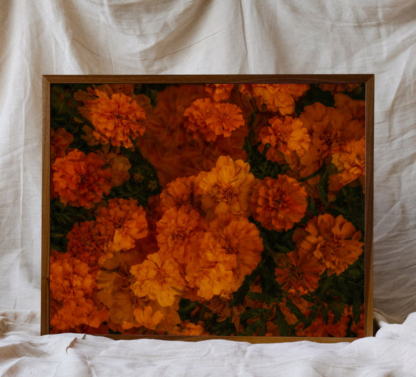 Flowers #76 (Unframed)