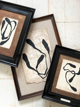 Load image into Gallery viewer, Pierre Albert (Framed)