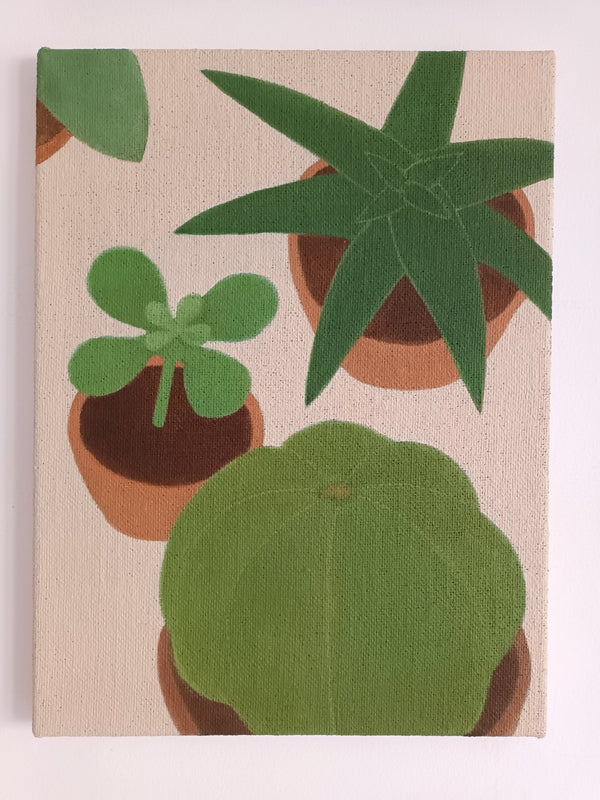 Plants
