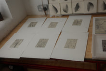 Load image into Gallery viewer, Del Centro