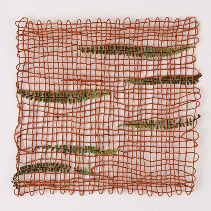 Fern 1 (Framed)