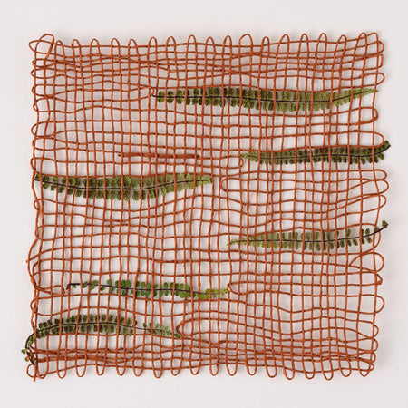 Fern 1 (Framed)