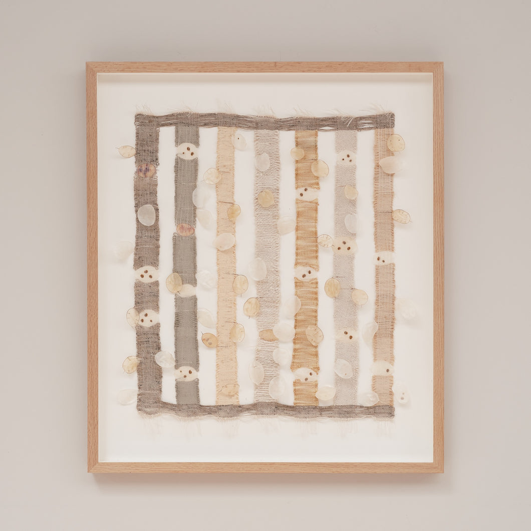Lunaria Annua (Framed)
