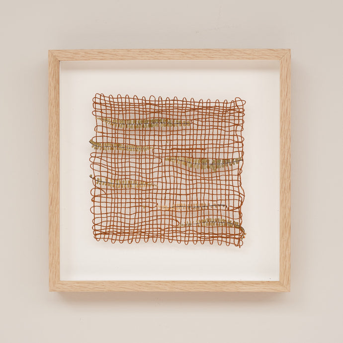 Fern 1 (Framed)