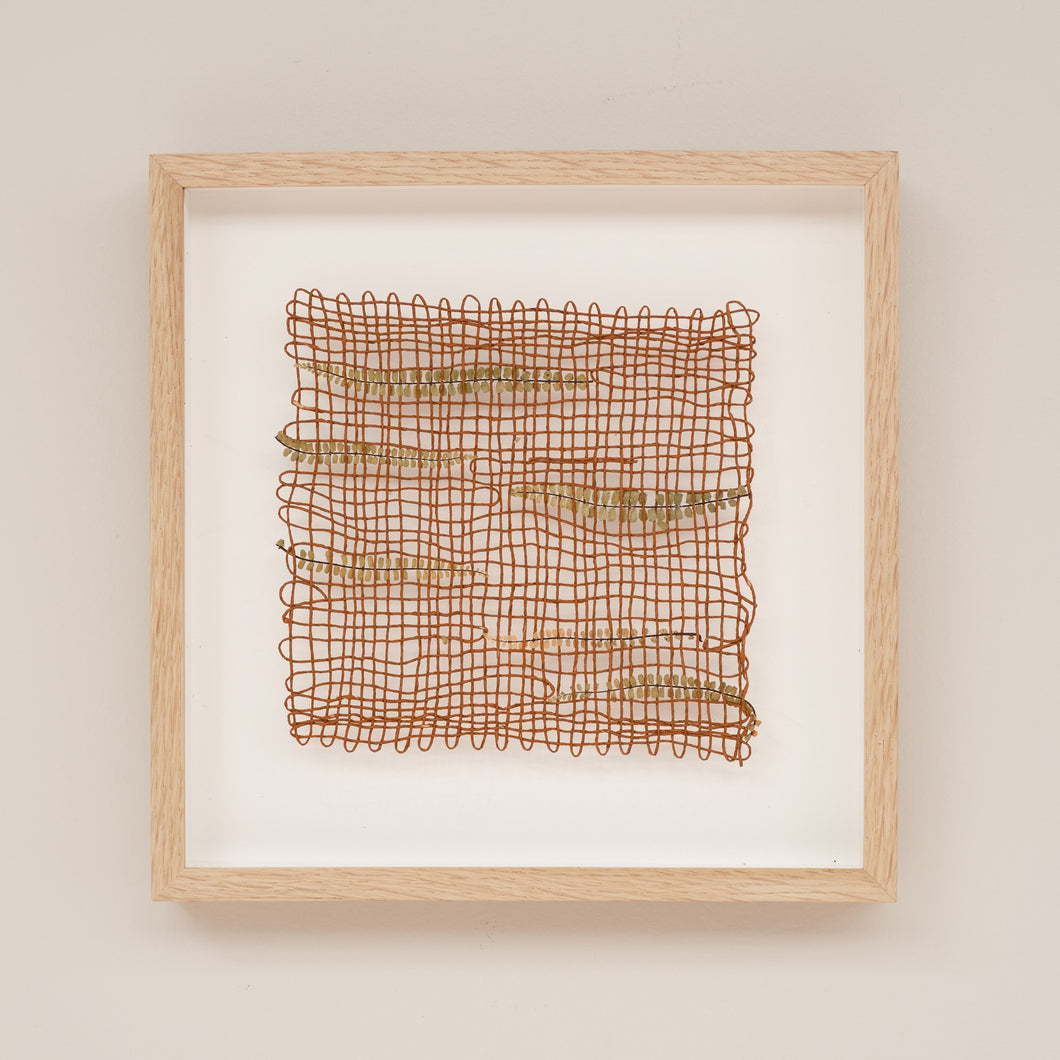 Fern 1 (Framed)