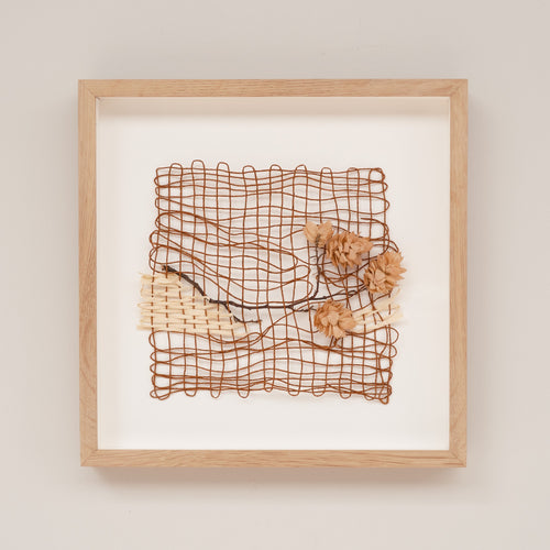 Common Hop (Framed)
