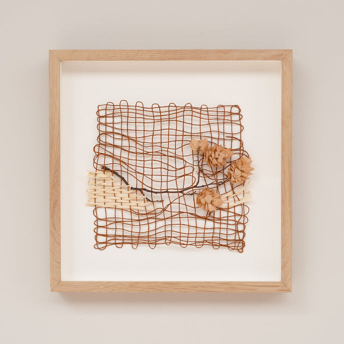 Common Hop (Framed)