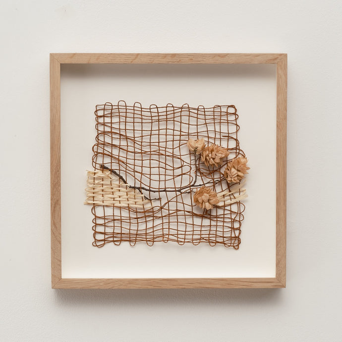 Common Hop (Framed)