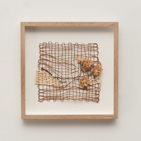 Common Hop (Framed)