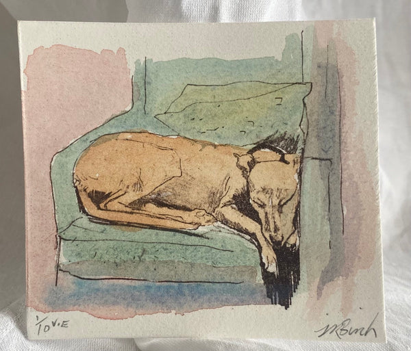 Rainy Day Dog