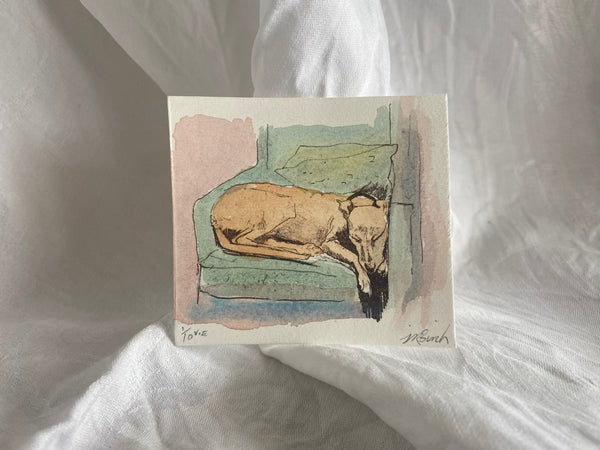 Rainy Day Dog