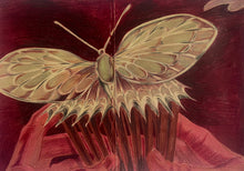 Load image into Gallery viewer, Rose's Comb