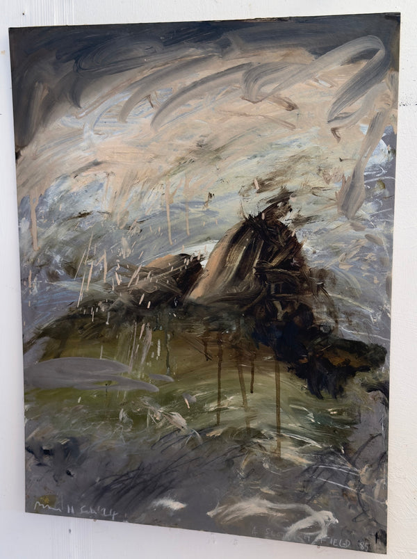 A Scottish Field 85