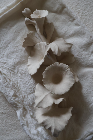 Alcea in White (A pair of horizontal candlesticks)